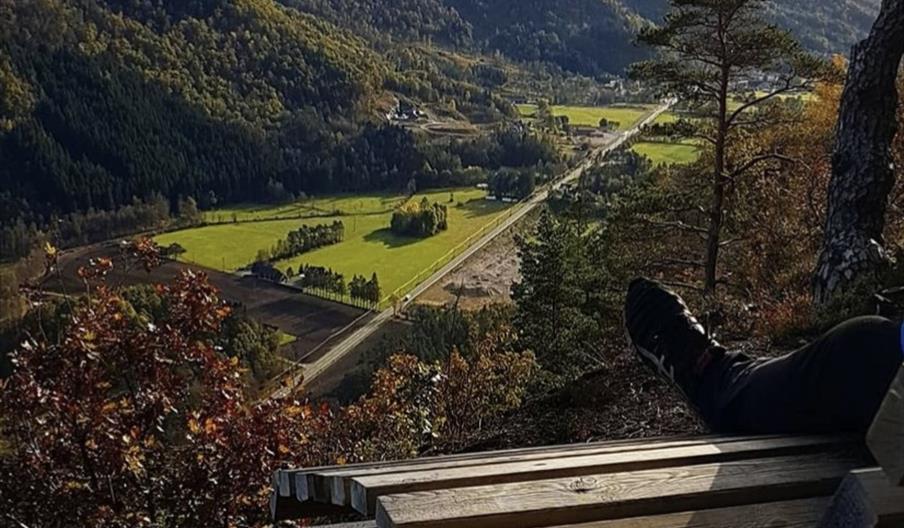 Neseknipen