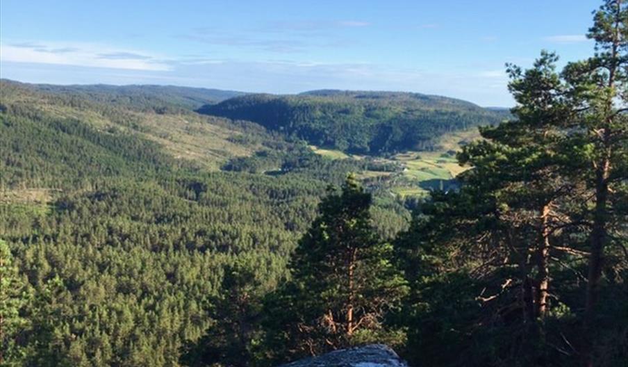 Hisåsen