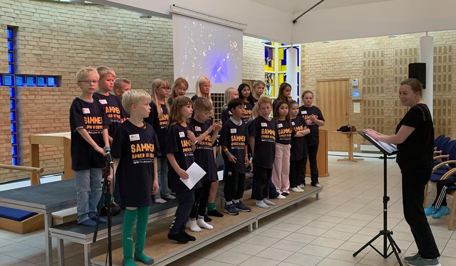 Show for TV-AKSJONEN