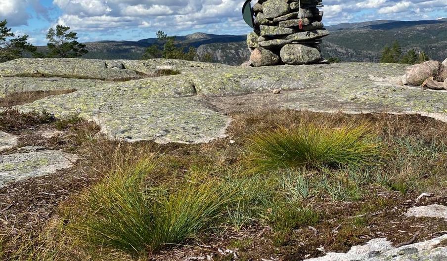 Ørnemyrfjellet