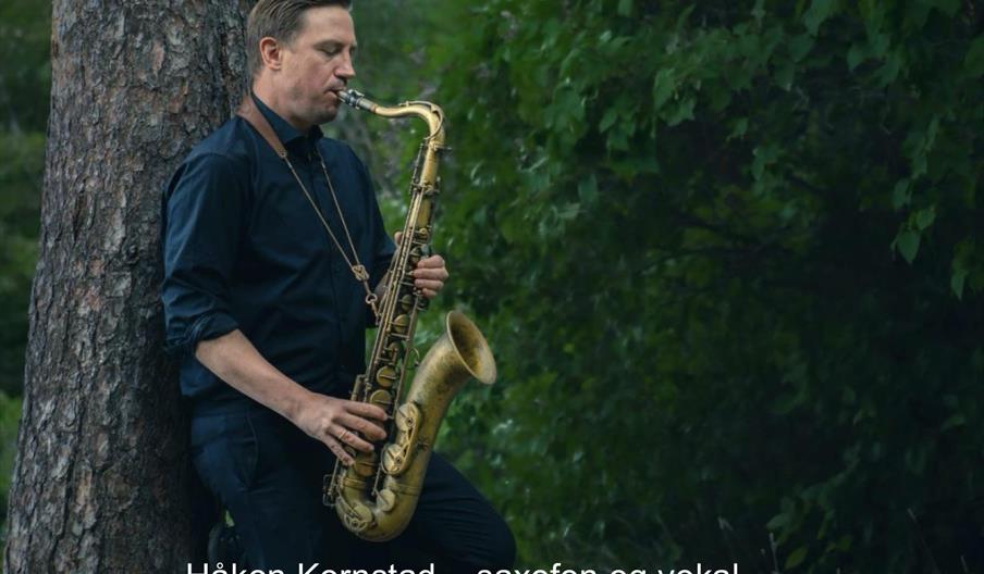 Håkon Kornstad Trio