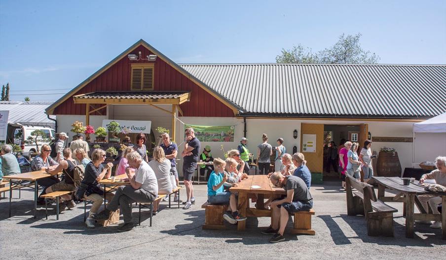 Yrende liv ved Norsk Hagebruksmuseum