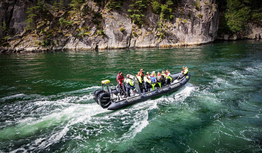 Arendal RIB-Safari
