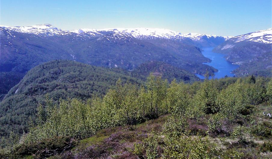 Ljosløypa i Bykle og Jarebu