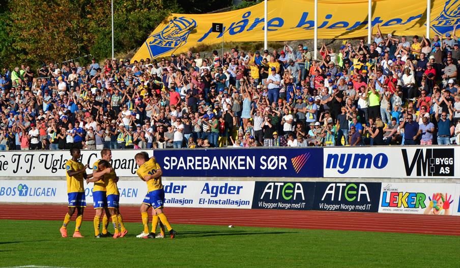 Bilde av jerv medlemmer