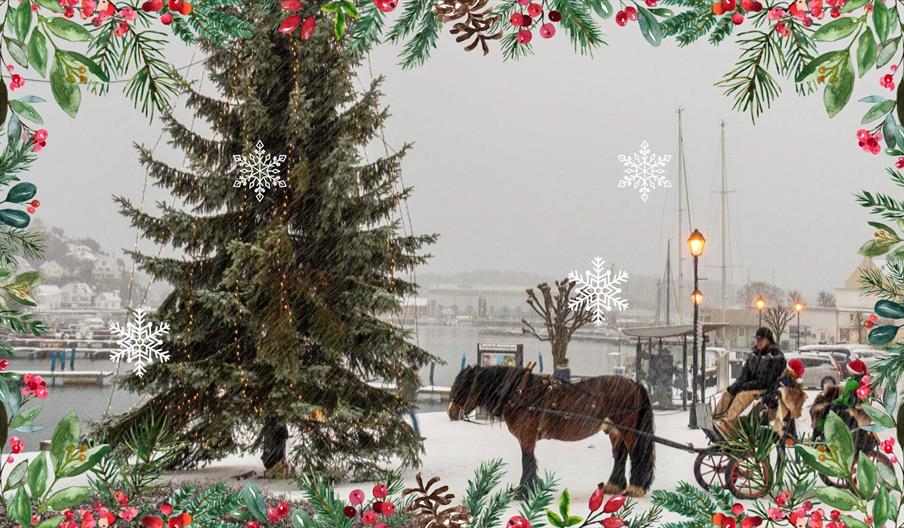 Hest og vogn på Torvet