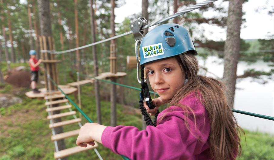 Klatreskogen på Evje - juniorpark