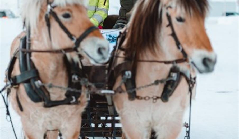 hest og slede i Åseral, setesdal