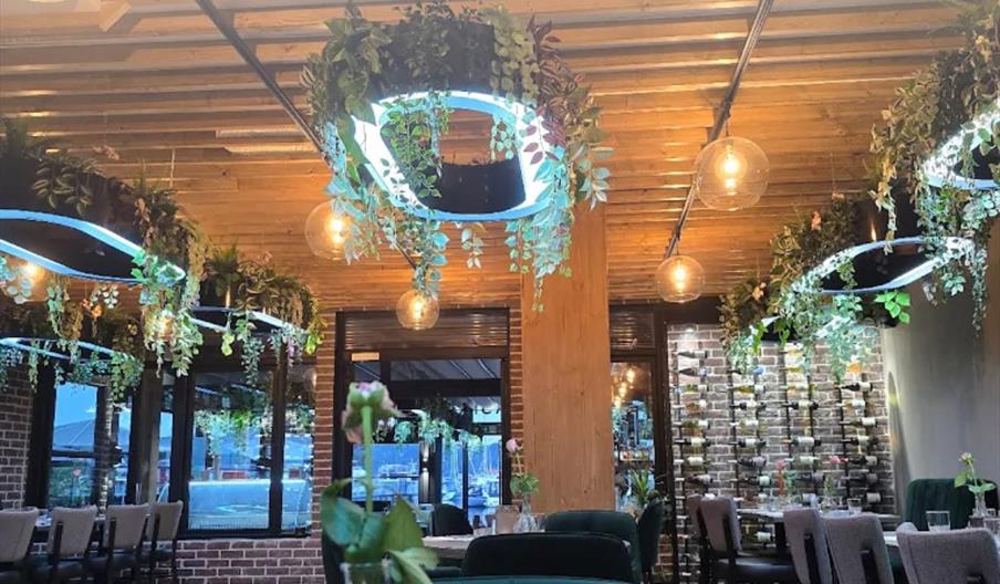 Restaurant inne med border og planter som pynt fra taket i en rolig atmosfære