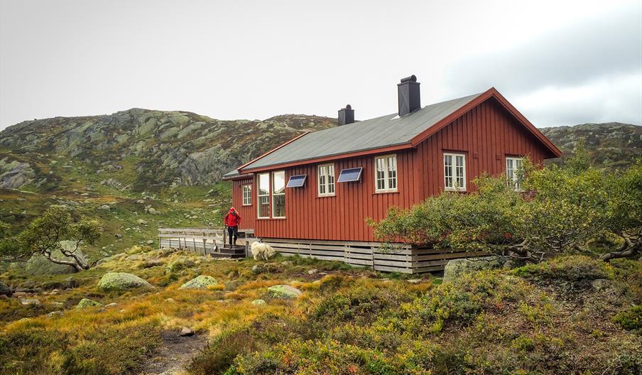 Lakkenstova - tur/retur 14 km