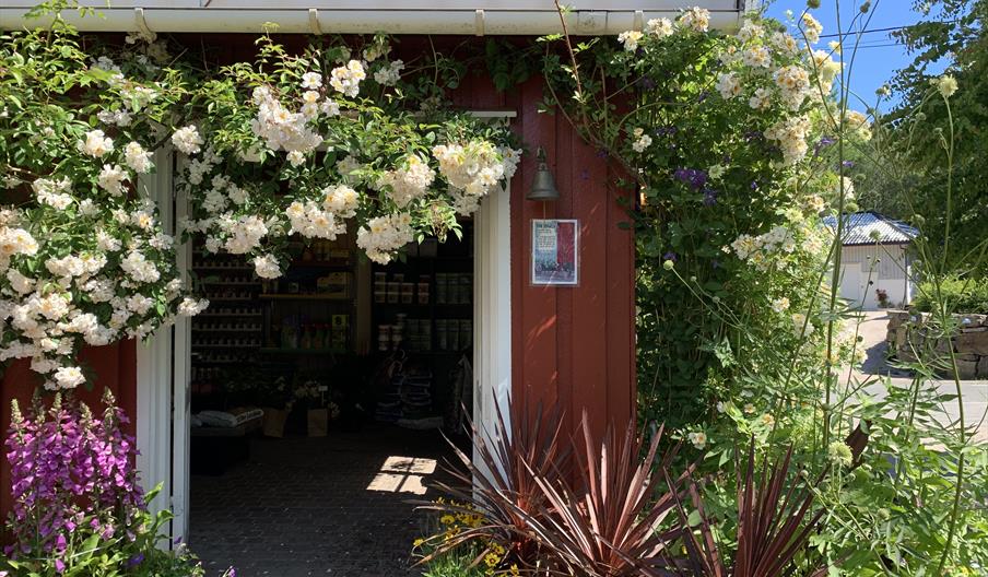 lite rødmalt hus med flotte blomster på Lundbergs Planteskole