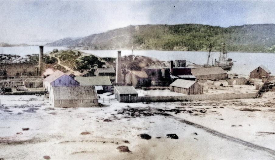 Parafinfabrikken på Risøbank