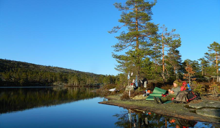 Maristjenn ved Marishei i Gjerstad