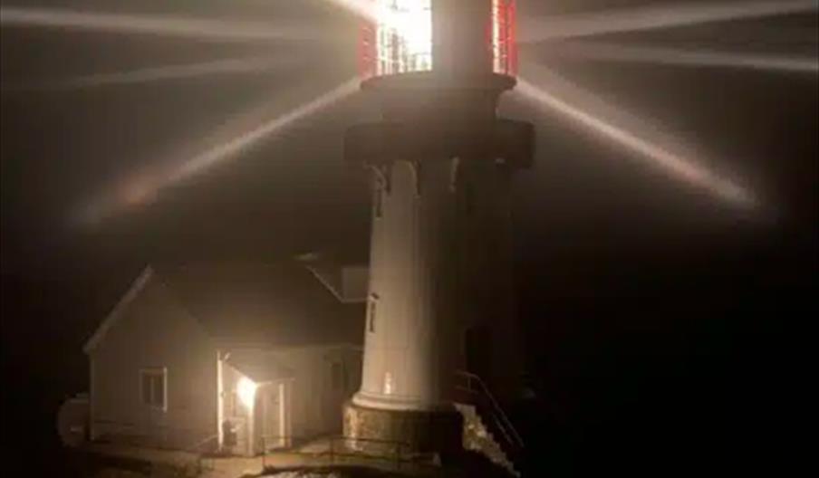 Nattomvisning hver fredag i juli