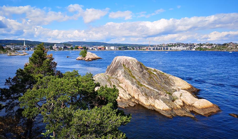 Odderøya