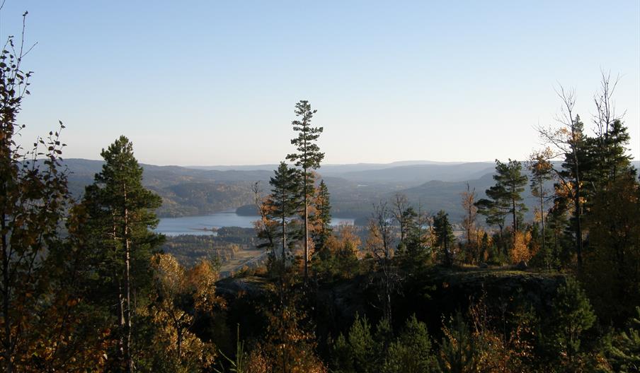 Lia Skule - Fennefossfjellet - rundtur 4,8 km