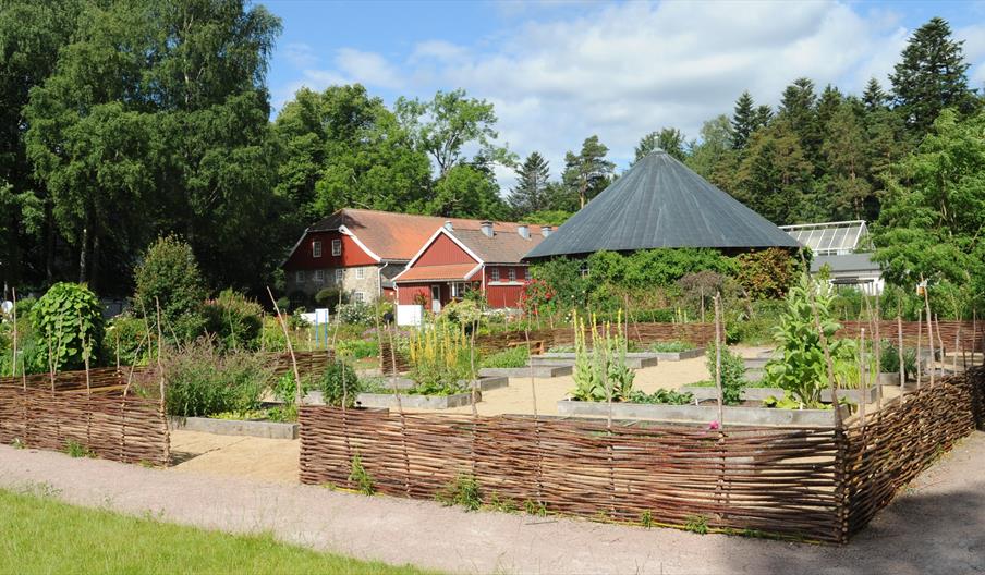 Omvisning om kloster- og ballastplanter