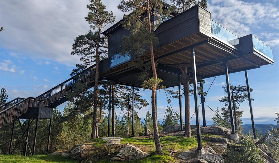 Ørneredet, Iveland Tree Top Panorama