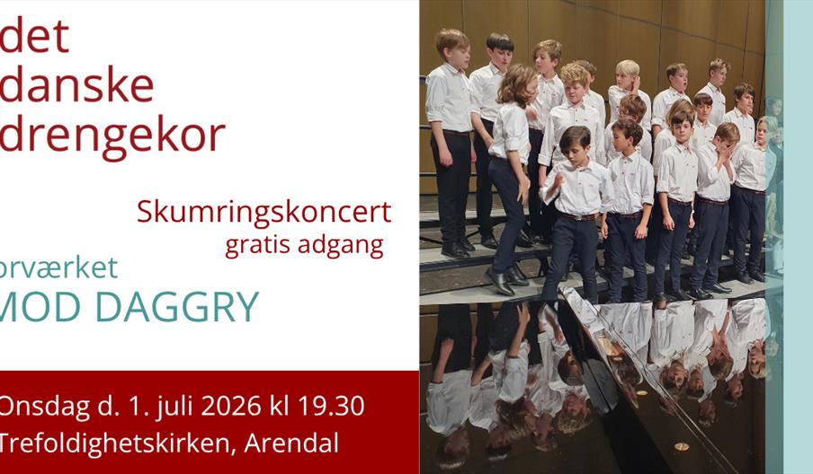 Konsert med Det danske drengekor