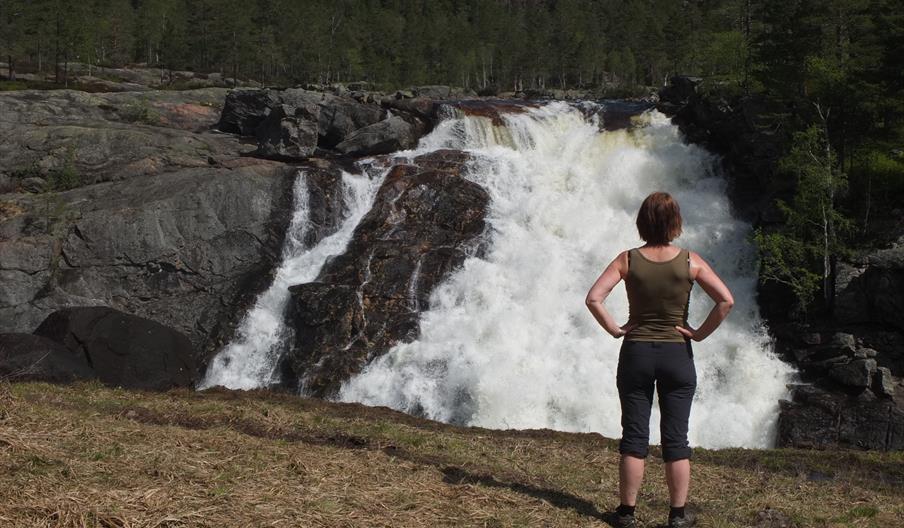 Rjukanfossen i Tovdal