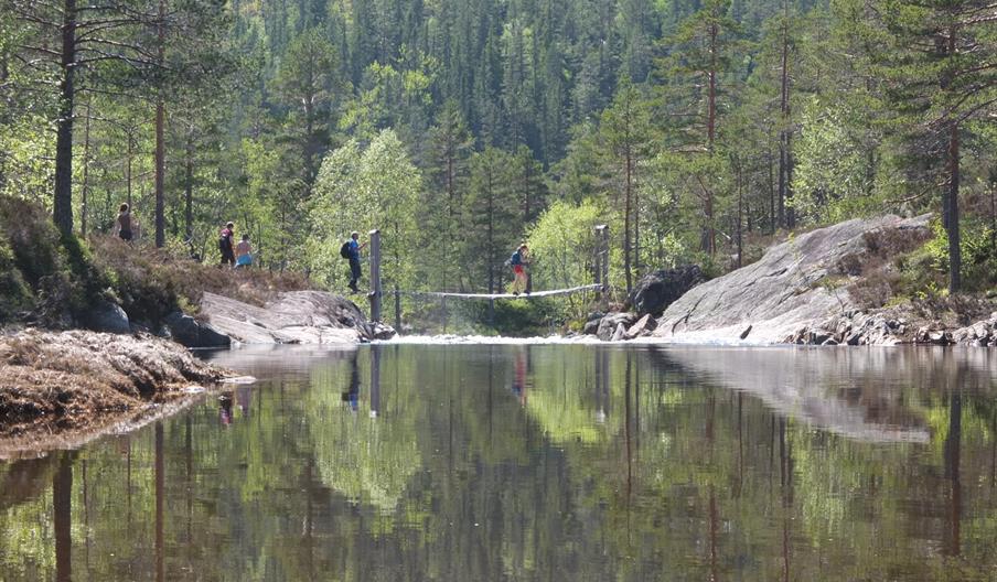 Årdalen naturreservat i Åmli