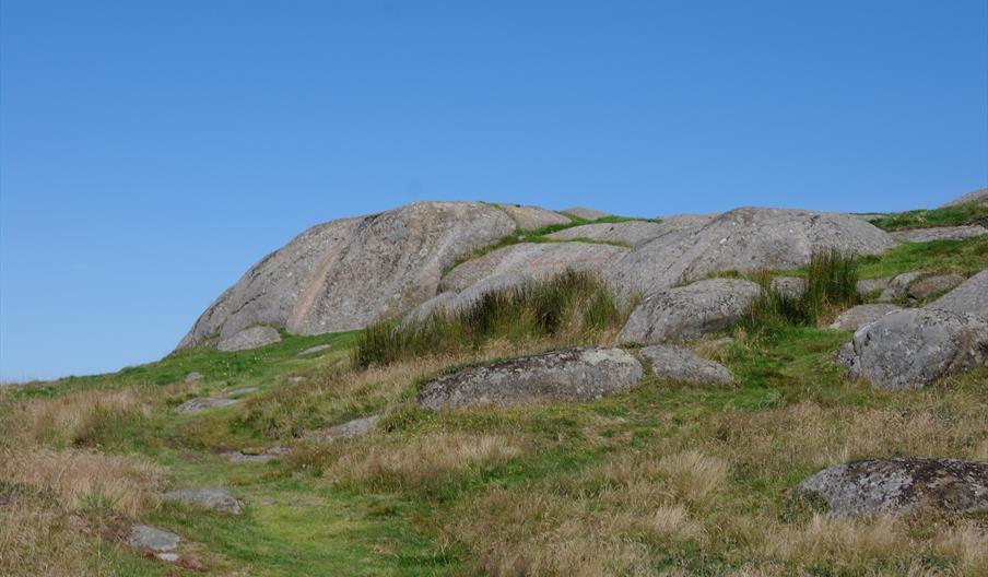 Helleristningsfeltet Penne