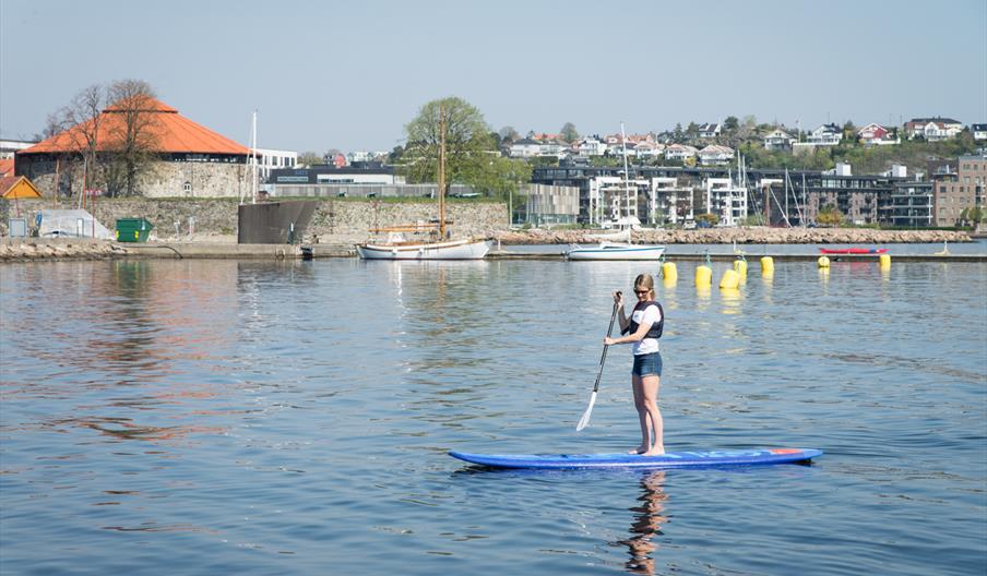 SUP-brett til utleie i Odderøya museumshavn
