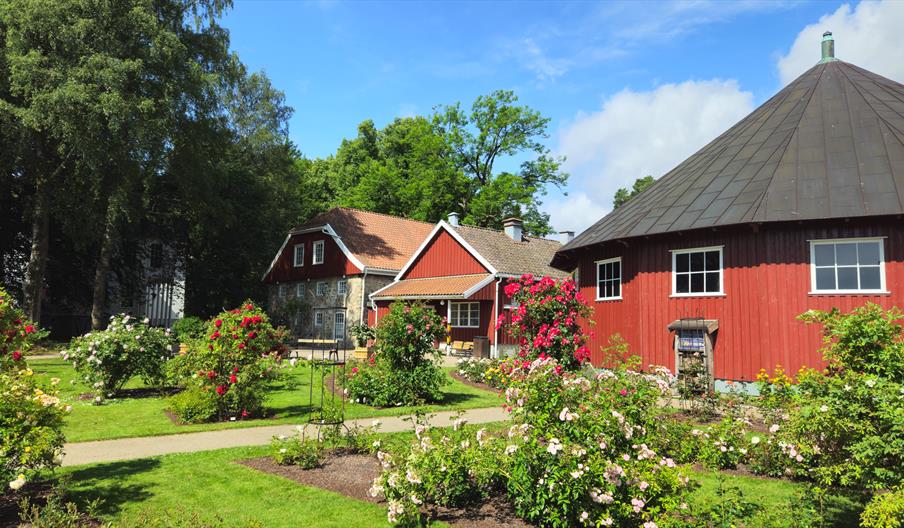 Sommervandring i botanisk hage