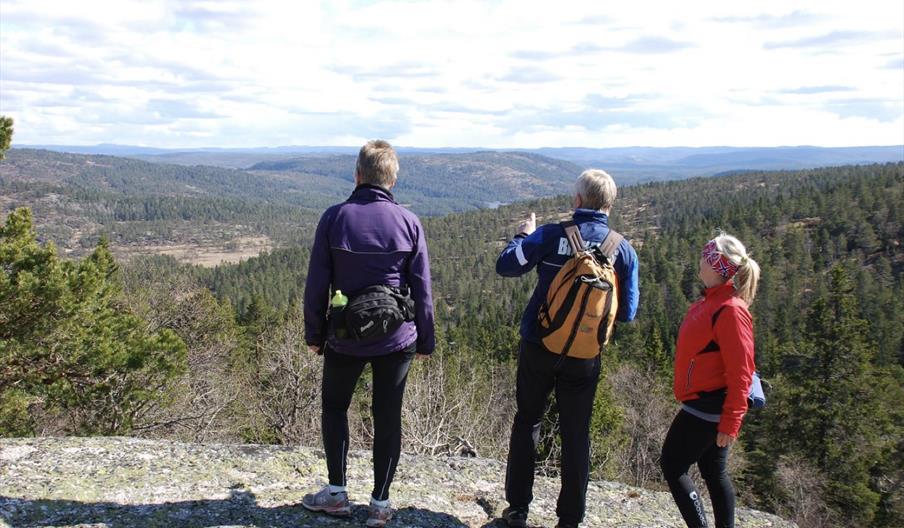 Storemyrsknuten - 530 moh