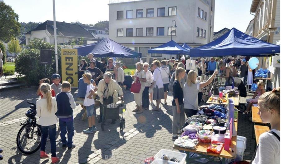 Miljødag 25 års jubileum