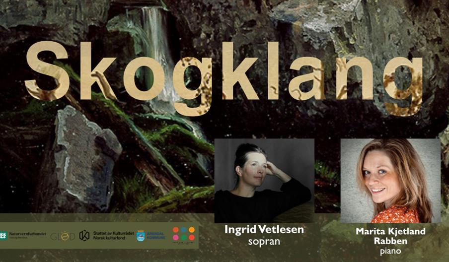 Skogklang - en støtteerklæring til skogene vi mister