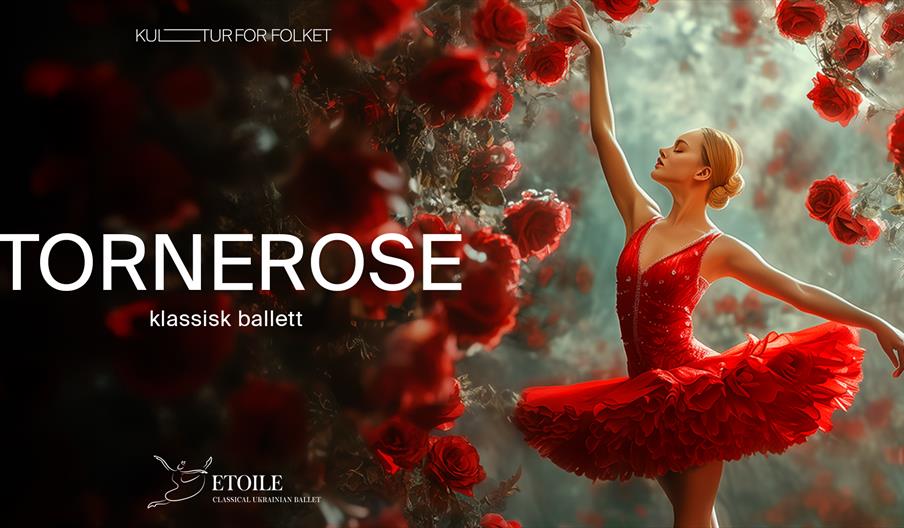 Tornerose // Classical Ukrainian Etoile Ballet