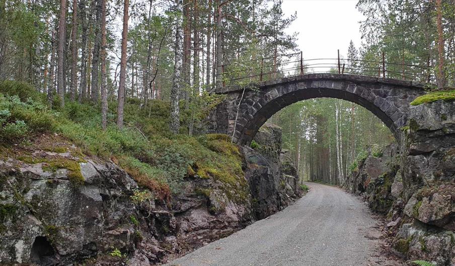 Vei med bro i skogen