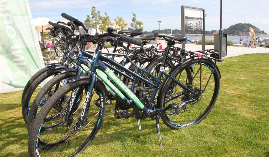 Picture of rental bicycles