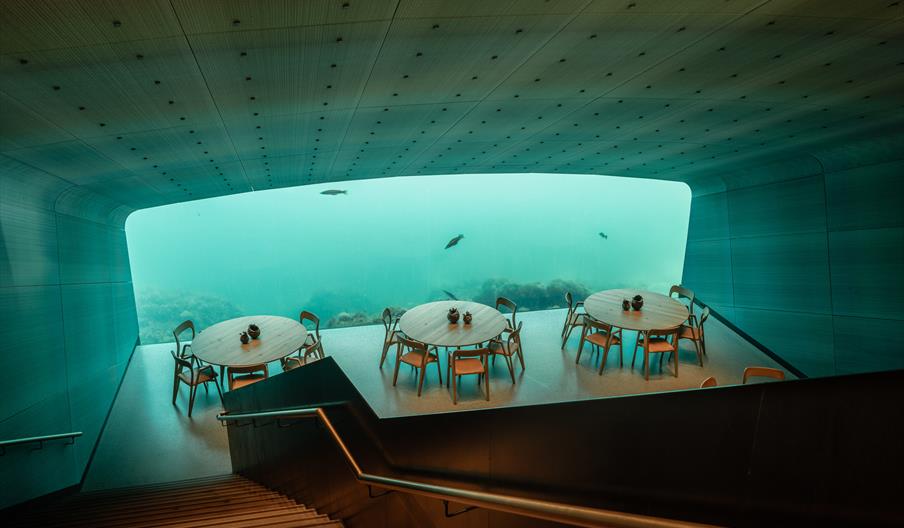 Utsikt fra toppen av trappen, ned til restauranten med border, stoler og det store vinduet med utsikt ut i havet