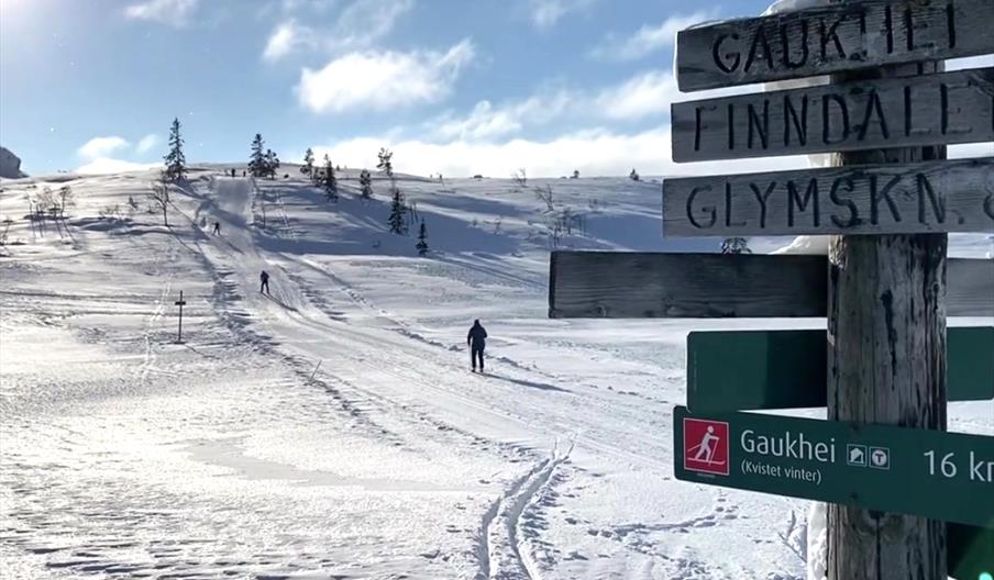 Crosscountry skiing in the mountains