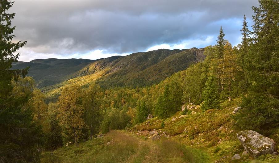 Valefjell tur-retur 9 km