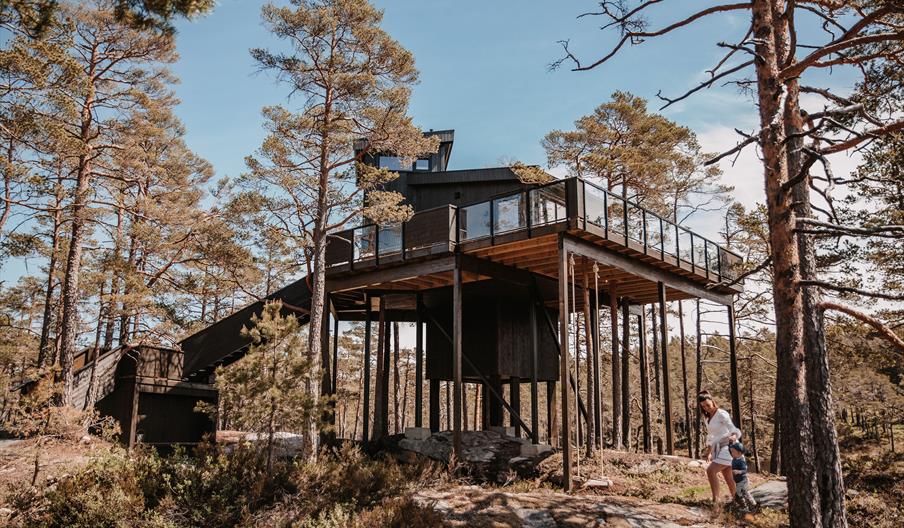 Furukrona, Iveland Tree Top Panorama