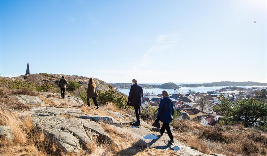 Vandring i Hamsuns fotspor over heia