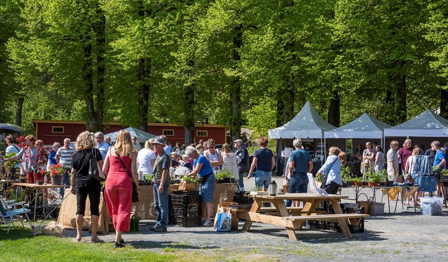 Yrende liv på høstmarked!