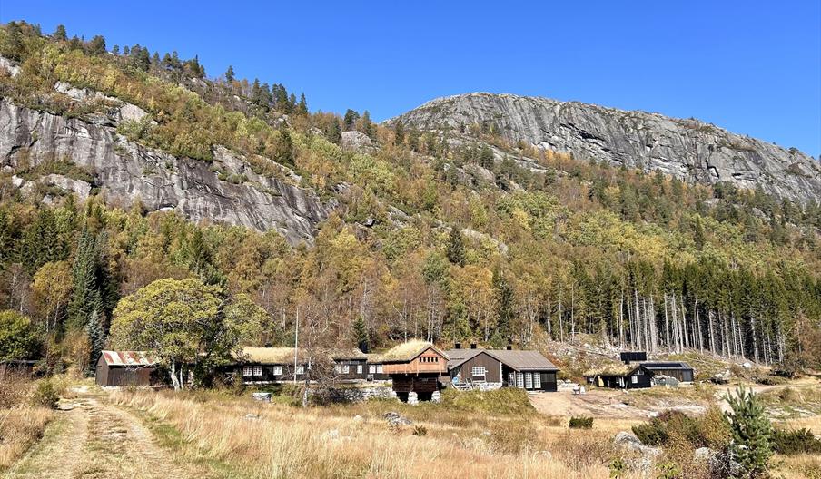 Ånebjør