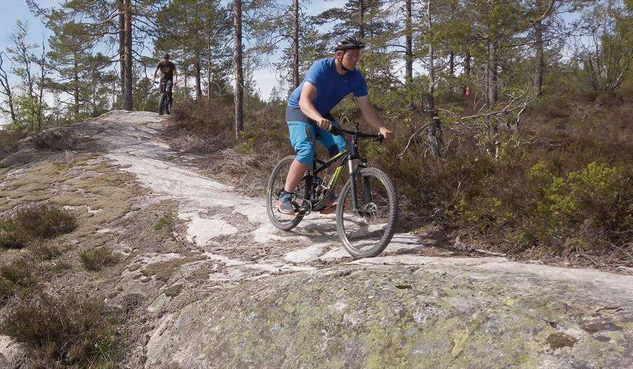 Sykling i Åseral