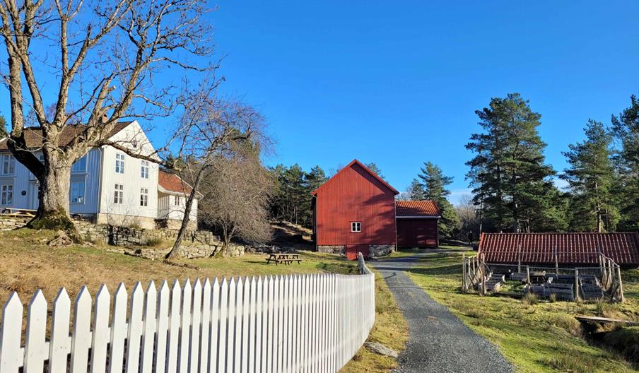 Guidet tur på Bragdøya