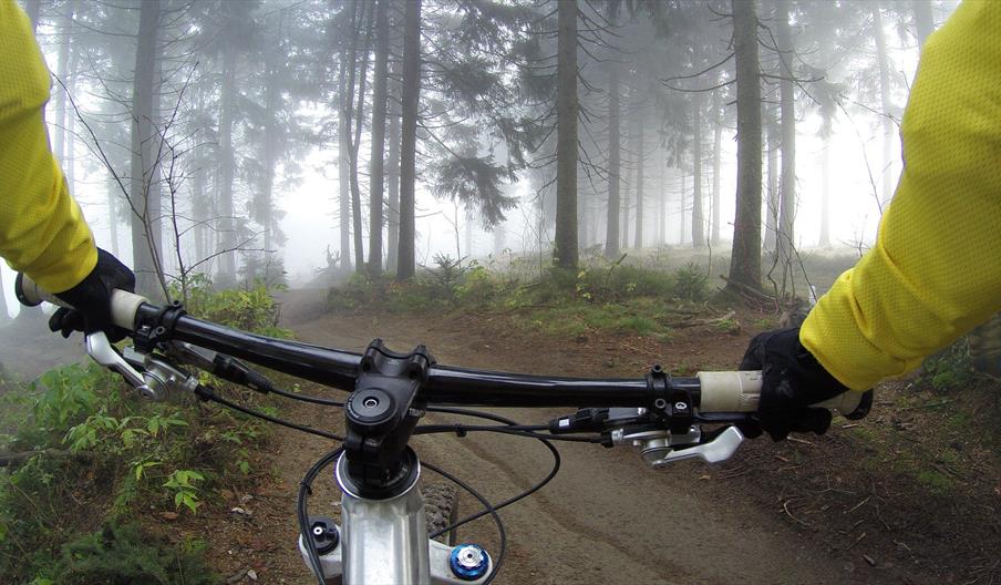 sykkelstyre i skogen