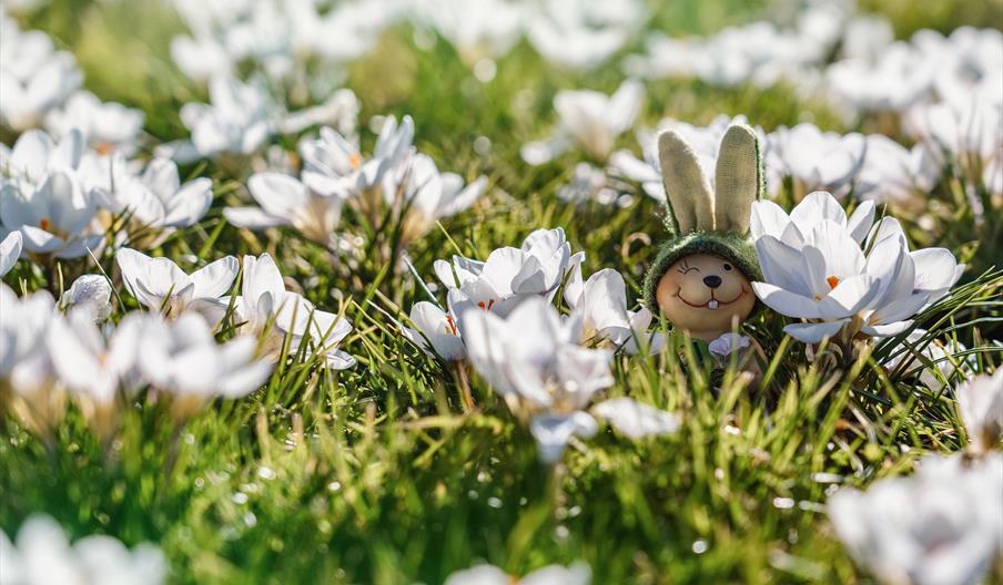 Påskebåttur til bilfrie Merdø