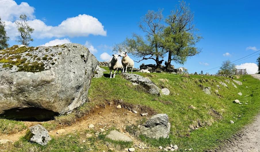 Fjellmannsvegen fra Setesdal til Kristiansand