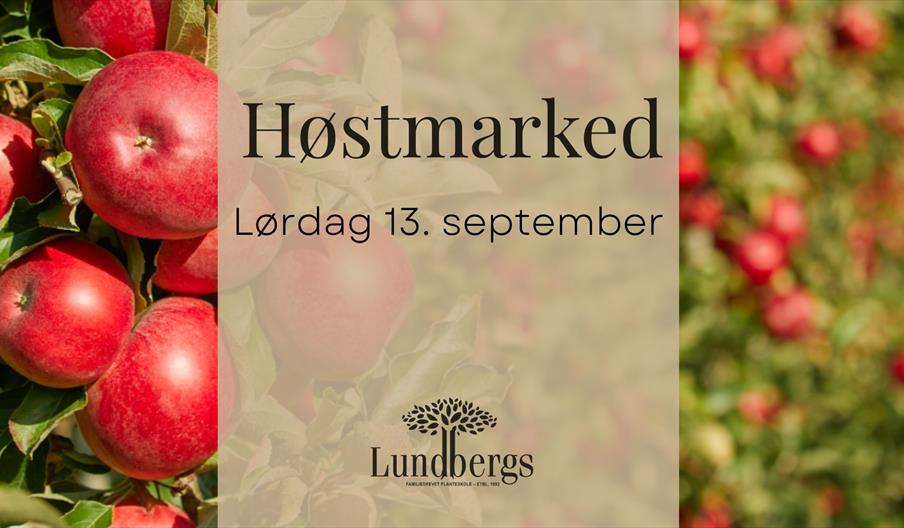 plakat for høstmarked med bilde av røde epler på epletre