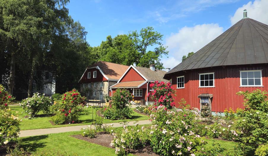 Omvisning i botanisk hage
