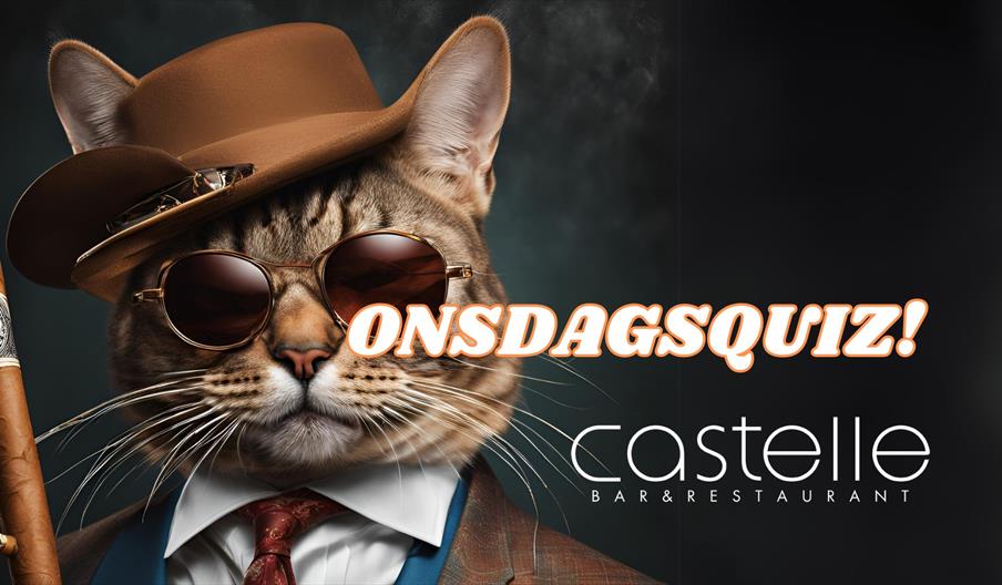plakat for onsdagsquiz på Castelle i Arendal med bilde av en katt med hatt, solbriller og dress.