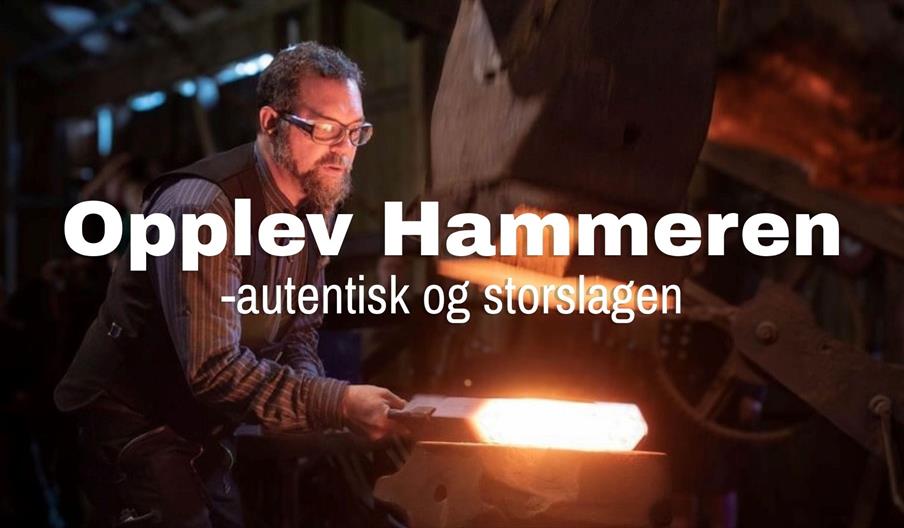 Opplev Hammeren